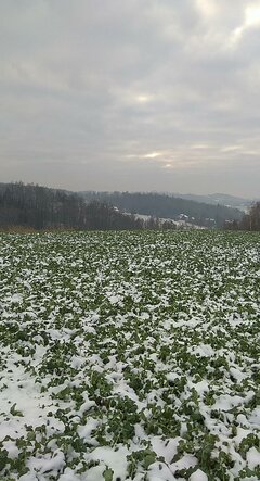 PANO_20181218_133801.jpg
