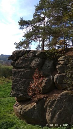 IMG_20181007_135028.jpg
