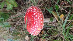 20220930_085240.jpg