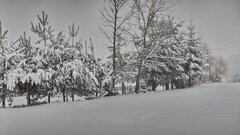 20221211_092241.jpg
