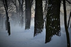 DSC_0284 (2).JPG