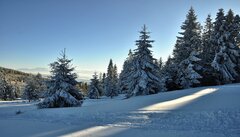landscape-3057835_960_720.jpg