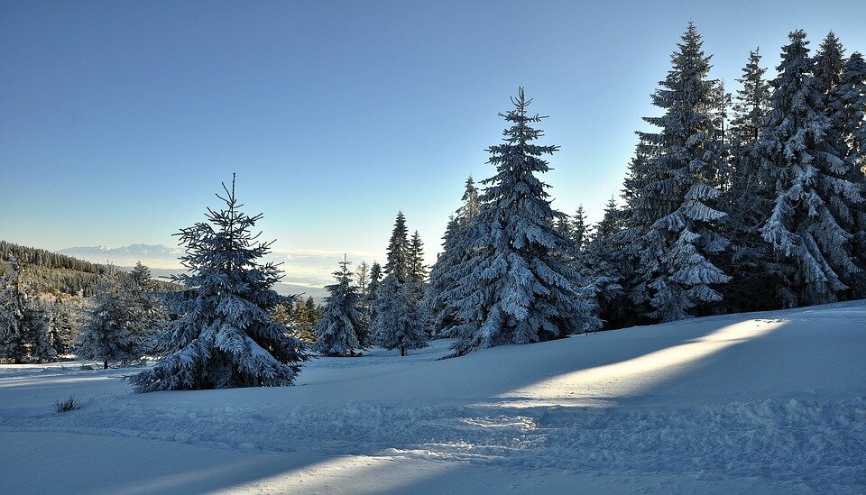 landscape-3057835_960_720.jpg - mariu85