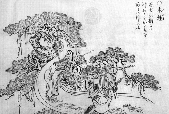 Kodama_