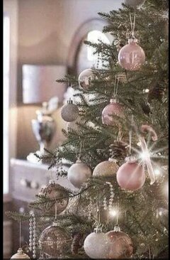 20221223_091000.jpg
