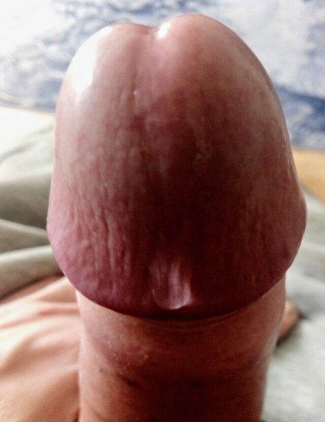transepa