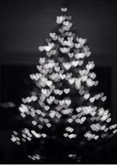 4A5FC7DC-2D86-44CF-8481-E4D3B3659AF5.jpeg