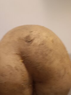 IMG20221214184246.jpg