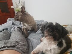 Jeździmy tylko w 3 :) 