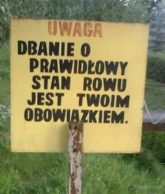 936AC90C-66F6-4363-A25E-5CCD209B7FA2.jpeg