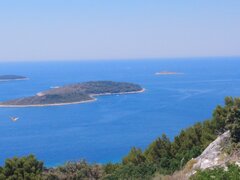 IMG_20220722_130631.jpg