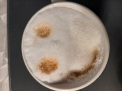20221230_164743.jpg