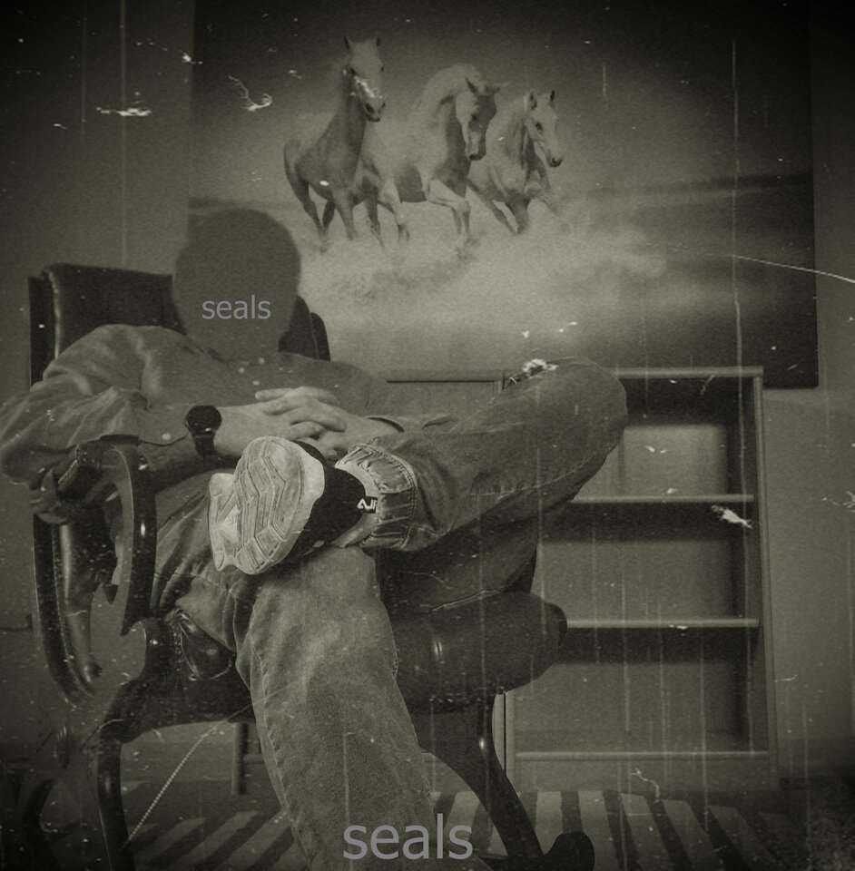 20230103_103117.jpg - seals_bald