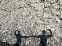 IMG_1646.JPG