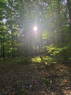 IMG_20211003_161000.jpg