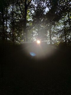 IMG_20211003_163930.jpg