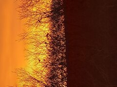 20230104_081048.jpg