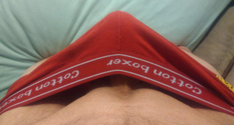 61.jpg - Kocur4436