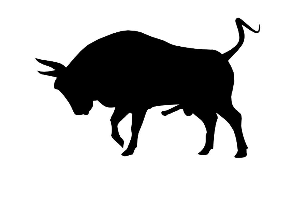 bull.jpg - Knocik