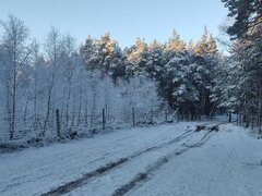 IMG_20221210_142730.jpg