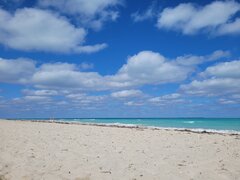 20220124_121302.jpg