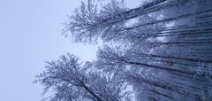 20221120_161215.jpg