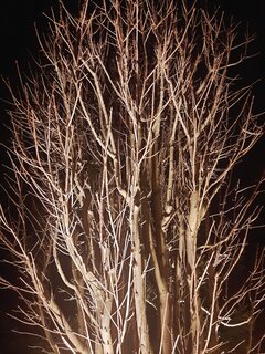 20230111_201911.jpg