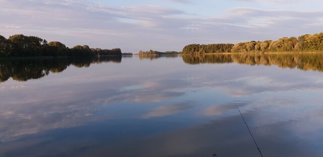 LysyWiesioijegosucz