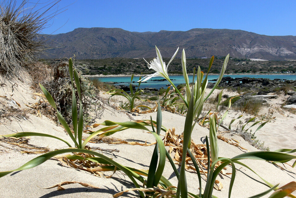 Kreta1.JPG - Ozi5