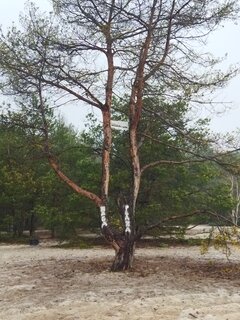 IMG_20230116_090538.jpg