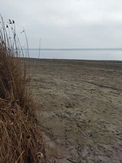 IMG_20230116_090426.jpg