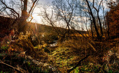 IMG_43793-HDR.jpg
