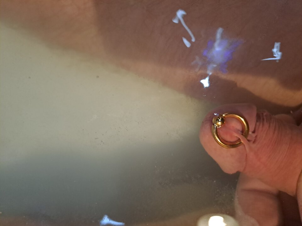 20230121_121608.jpg - leon14840