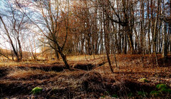 IMG_4374-HDR.JPG