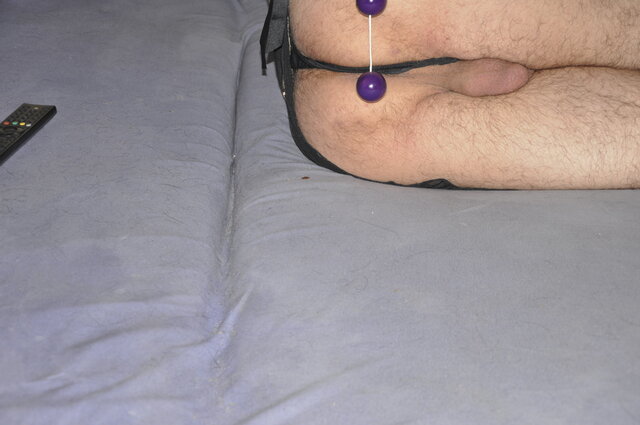 misio1719