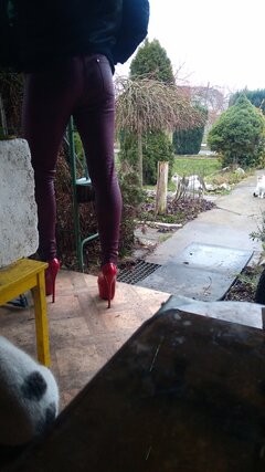 IMG_20230124_084933.jpg