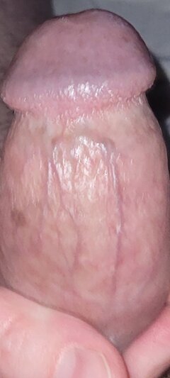 Screenshot_20230126-115134_Gallery.jpg