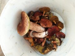 IMG_20210918_113221.jpg