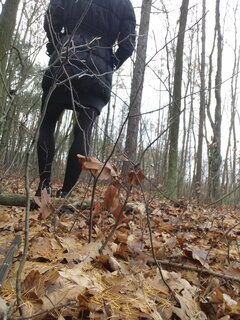 20221204_111346.jpg