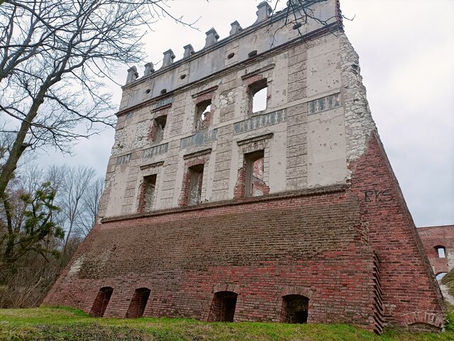 Zwyczajny5
