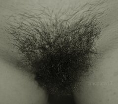 DSC_0495.JPG