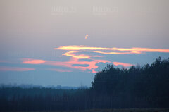 DSC_0080.jpg