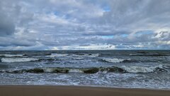 20230202_102024z.jpg