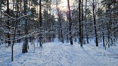 20230204_132018z.jpg