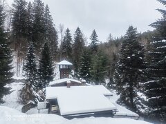 IMG_20230203_095953.jpg