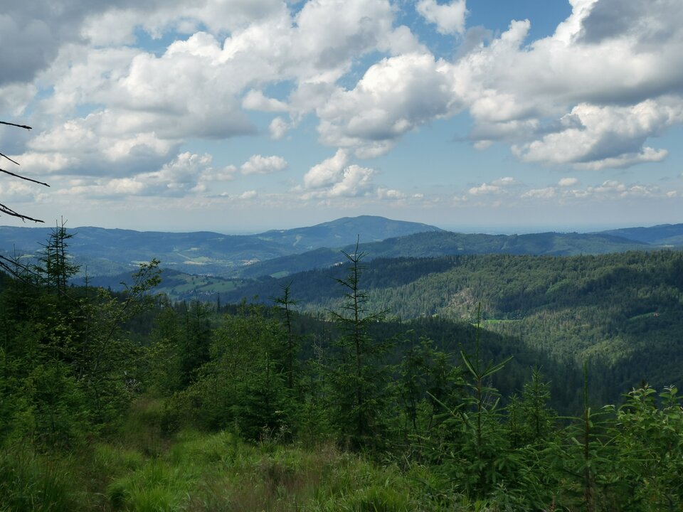 1 - Realny_27