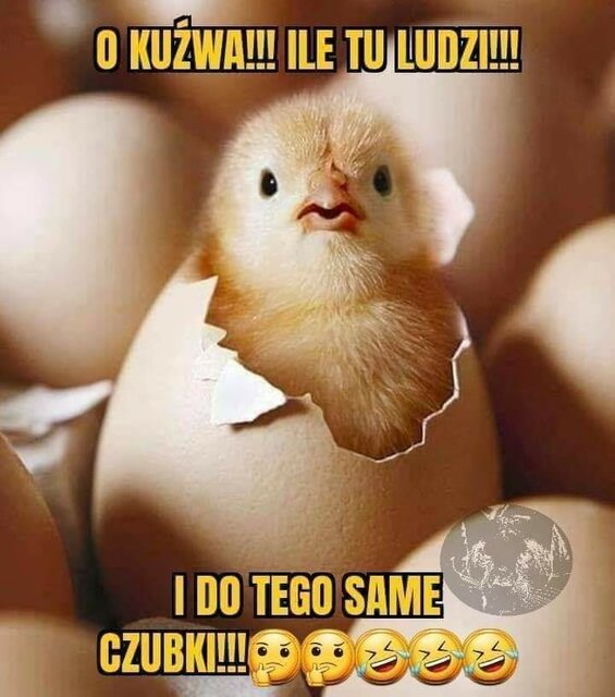 FB_IMG_1675541318234.jpg - conscious_mind