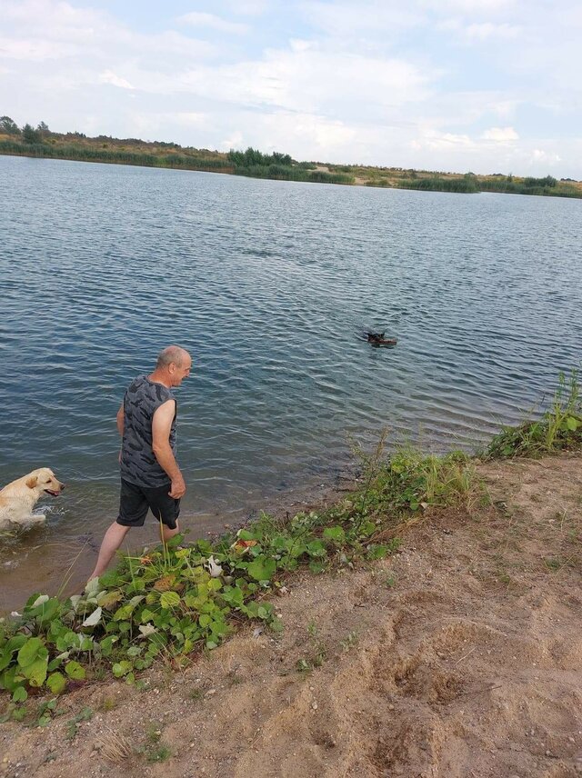 Romantyk19610501