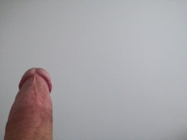 Adamus241