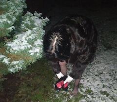 MVIMG_20210110_055834.jpgGY.jpg